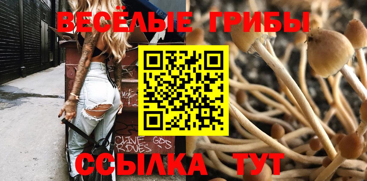 Галлюциногенные грибы Magic Shrooms  Вход с VPN  Борзя  Псилоцибиновые грибы прущие грибы 